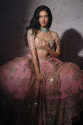Astha Embroidered Lehenga Set