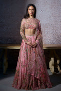 Radha Embroidered Lehenga Set