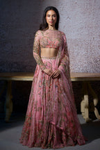 Radha Embroidered Lehenga Set