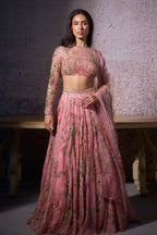 Radha Embroidered Lehenga Set