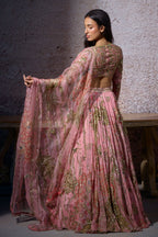 Radha Embroidered Lehenga Set