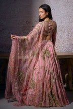Radha Embroidered Lehenga Set