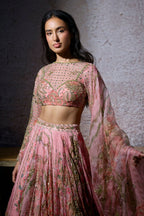 Radha Embroidered Lehenga Set