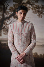 Tavir