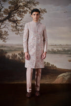 Tavir