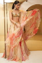 Aria Embroidered Lehenga Set