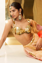 Aria Embroidered Lehenga Set