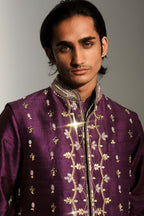 Daanish