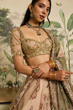 Saachi