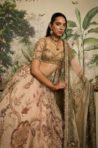 Saachi